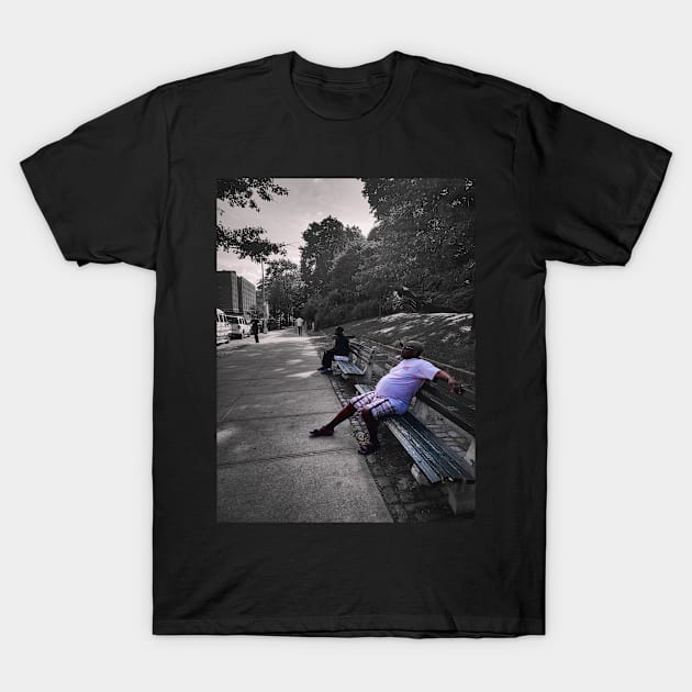 St Nicholas Park Manhattan Harlem NYC T-Shirt by eleonoraingrid